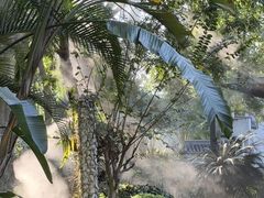 -东莞植物园