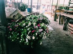 -莱茵河畔老街