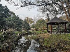 -杭州花家山庄