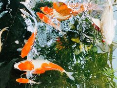 -聚缘堂·海鲜私房菜(松岭路店)