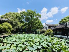 -上海醉白池公园