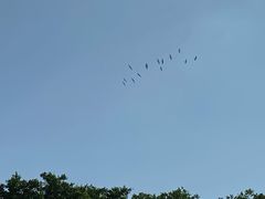 -大湾区中央湿地公园