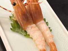 -Sushi Hanzo半藏(天环广场店)