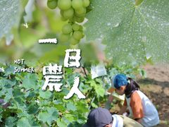 -大连北马山庄