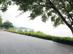 -深圳湾公园(南山区)