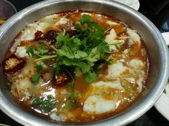 -龙梅肥肠鱼(明瓦廊店)