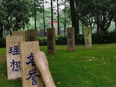 -陈家山荷花公园