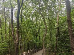 -虞山风景区