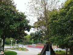 -上海鲜花港