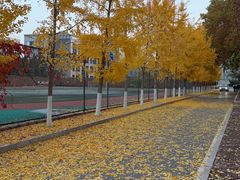 -回龙观体育文化公园