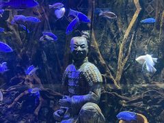 -华夏文旅海洋公园