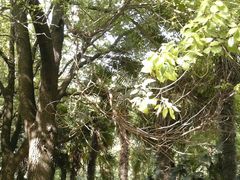 -湖北中医药大学(昙华林校区)