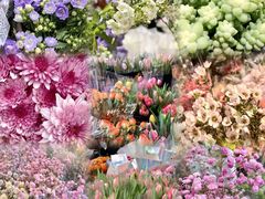 -循礼门鲜花花市(武汉循礼门店)