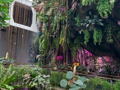-正佳雨林生态植物园