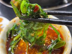 -金鼎雪山牦牛杂火锅(理县总店)