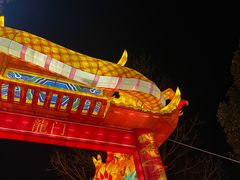 -武汉园博园(武汉自然博物馆)