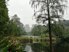-重庆彩云湖湿地公园