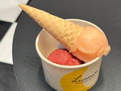 -LUNEURS月乐诗·法式冰淇淋(北外滩来福士广场店)