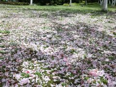 -白塘生态植物园