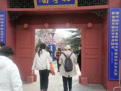-桃花堤公园