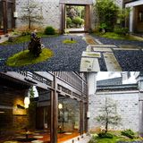 宁波又有好看的新店开张啦！