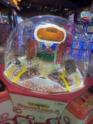 -卡通尼·Safari非洲探索乐园·生日会(金桥国际商业广场店)