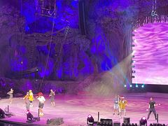 -广州长隆国际大马戏