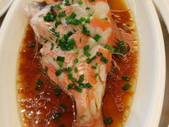 -华盛丰温州大排档(东三环南路店)