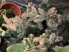 -泰古龙抓龙筋·spa按摩(静安店)