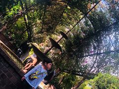 -The Grounds of Alexandria