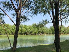 -泰安地下龙宫景区