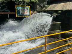 -将军关探险漂流