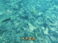 -环滩岛