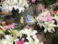-无锡文化工艺品市场(槐古路店)