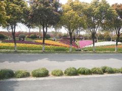 DSCN1258-上海鲜花港