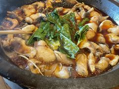 -都江堰石锅鱼
