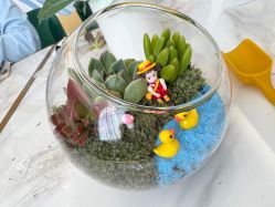 -安悦贝月子中心