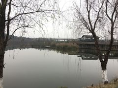 -白鹭湾湿地公园