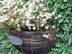 -泉乐坊步行街(烟酒特产平价超市店)