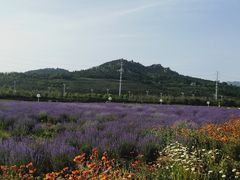 -西海岸生态观光园