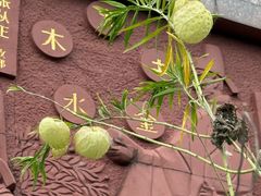 -广州神农草堂中医药博物馆