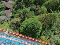 -玉苍山国家森林公园