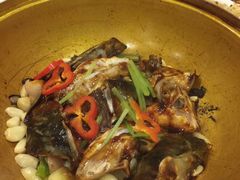 砂锅鱼头煲-圆苑(上海广场店)