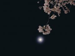 -杭州文化广播电视集团