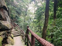 -缙云山景区