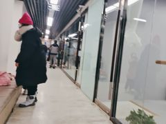 -舞蕾舞蹈(特长生校区)