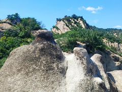 -大岭沟猕猴桃谷风景区