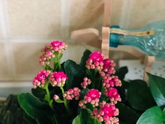 -三旗百汇商品城