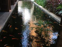 -三亚亚龙湾五号度假别墅酒店