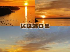 -金塔沙漠胡杨林景区